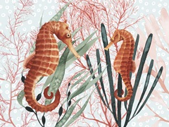 Sea Treasures Collection A