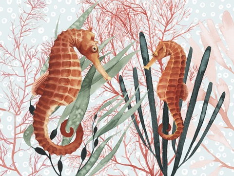 Sea Treasures Collection A