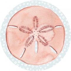 Sea Treasures Collection C