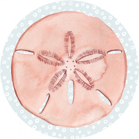 Sea Treasures Collection C