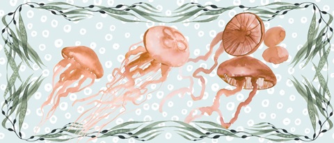 Sea Treasures Collection D