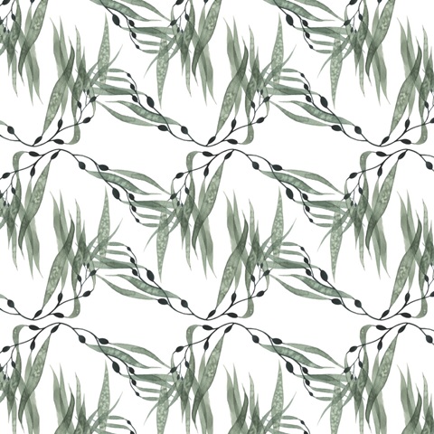 Sea Treasures Collection H