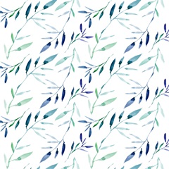 Shells and Seaweed Collection F