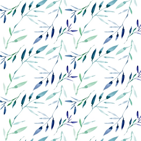 Shells and Seaweed Collection F