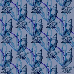 Shells and Seaweed Collection G