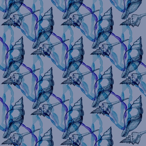 Shells and Seaweed Collection G