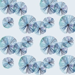 Shells and Seaweed Collection I