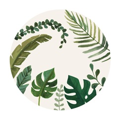 Sloth Sayings Collection C