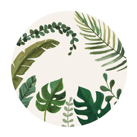 Sloth Sayings Collection C