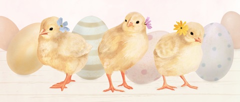 Spring on the Farm Collection D