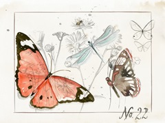 Summer Butterflies Collection A