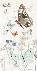 Summer Butterflies Collection B