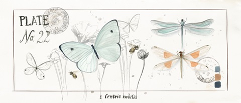 Summer Butterflies Collection D