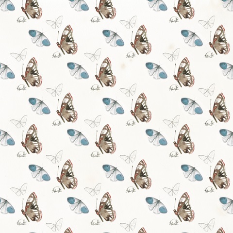 Summer Butterflies Collection G