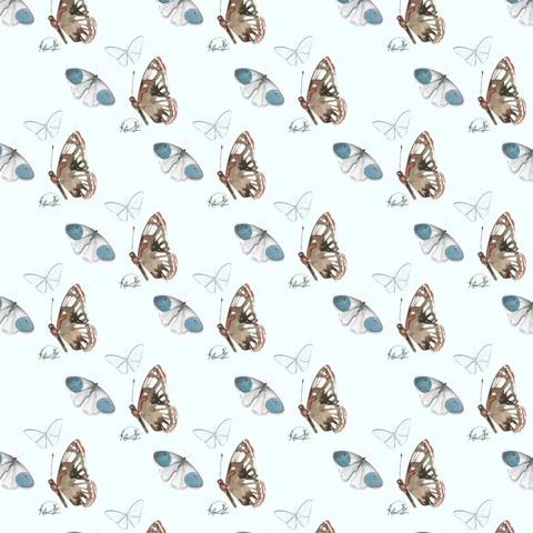 Summer Butterflies Collection I