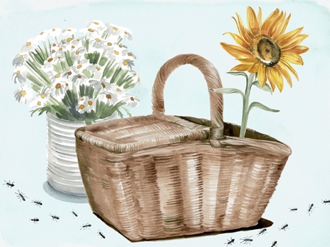 Summer Picnic Collection A