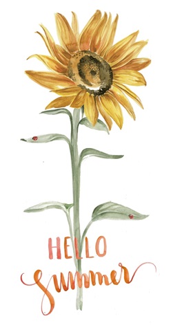 Summer Picnic Collection B