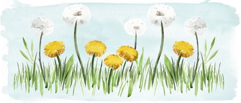 Summer Picnic Collection D