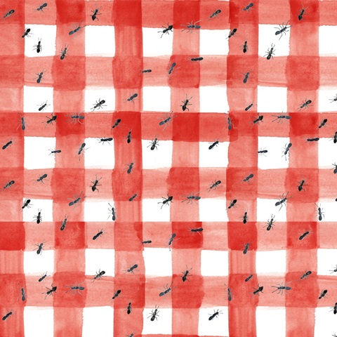 Summer Picnic Collection F