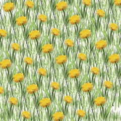 Summer Picnic Collection H