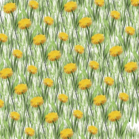 Summer Picnic Collection H