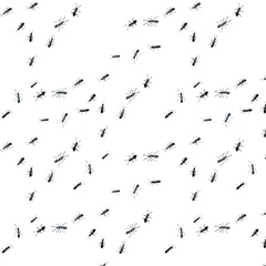 Summer Picnic Collection I