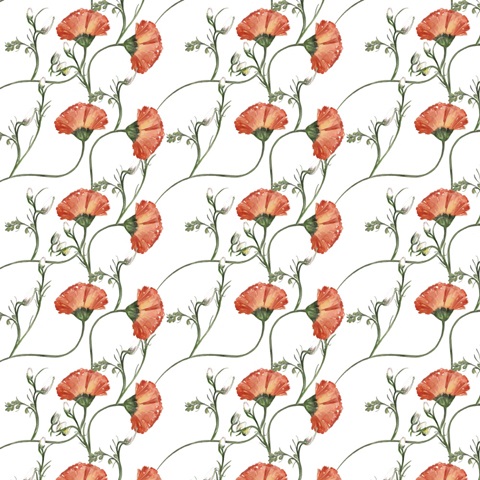 Summer Wildflowers Collection H