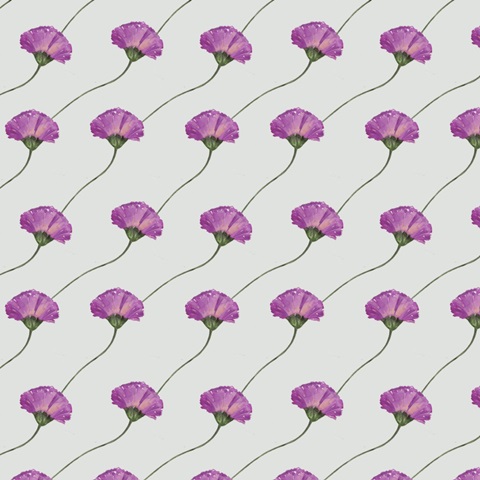 Summer Wildflowers Collection I