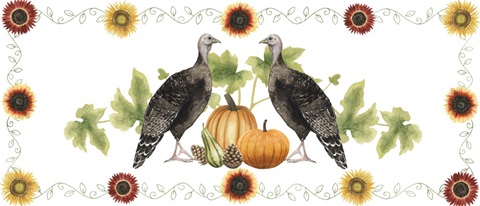 Sunflower Harvest Collection D