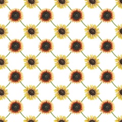 Sunflower Harvest Collection G