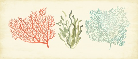 Underwater Whimsy Collection D