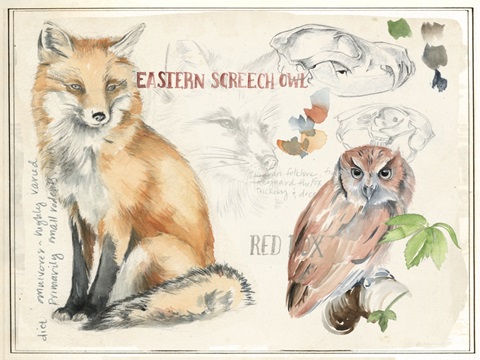 Wildlife Journal Collection A