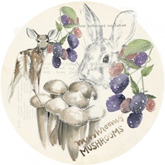 Wildlife Journal Collection C