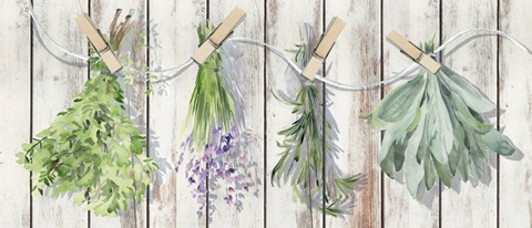 Green Witch Collection D