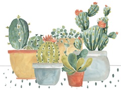 Simple Succulent Collection A