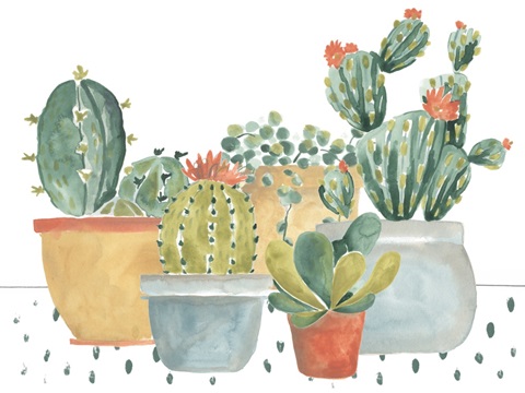 Simple Succulent Collection A