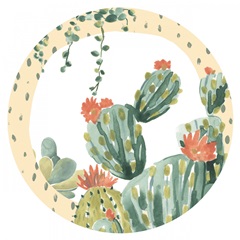 Simple Succulent Collection C