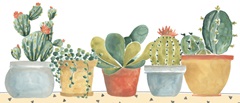 Simple Succulent Collection D