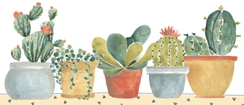 Simple Succulent Collection D