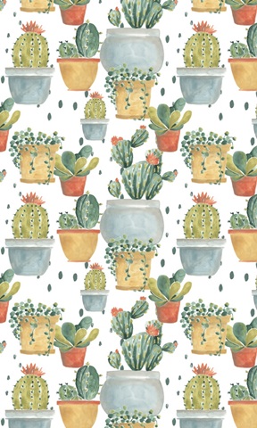 Simple Succulent Collection E