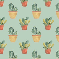 Simple Succulent Collection G