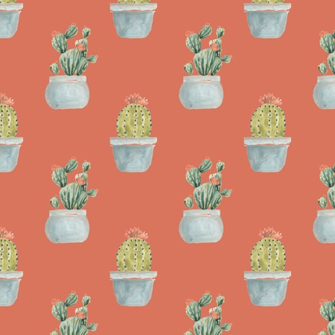 Simple Succulent Collection I