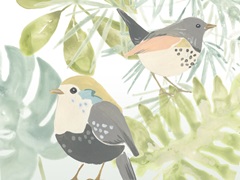 Songbird Collection A