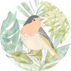 Songbird Collection C