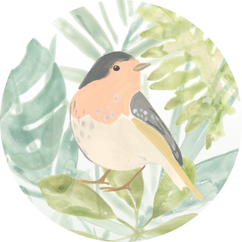 Songbird Collection C