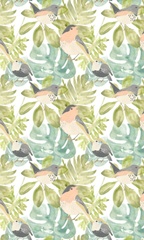 Songbird Collection E