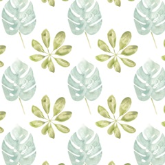 Songbird Collection F