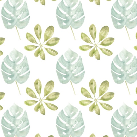 Songbird Collection F