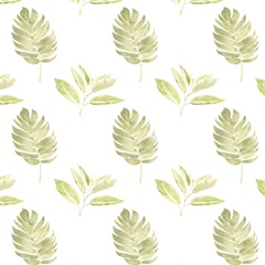 Songbird Collection H