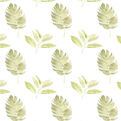 Songbird Collection H